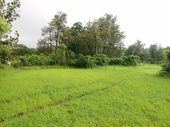 4 Acre Agricultural/Farm Land for Sale in Shahapur, Thane (78 Guntha)