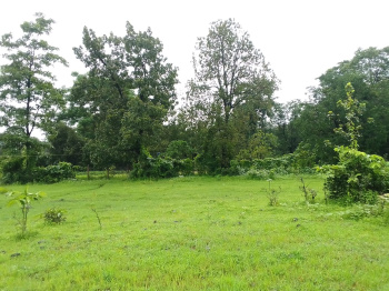 25 Acre Agricultural/Farm Land for Sale in Shahapur, Thane