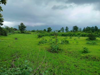 1 Ares Agricultural/Farm Land for Sale in Murbad, Thane