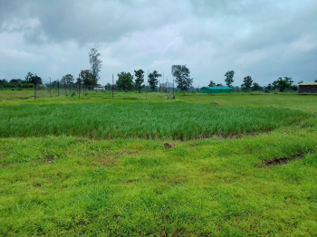 52 Guntha Agricultural/Farm Land for Sale in Murbad, Thane