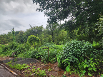 5 Acre Agricultural/Farm Land for Sale in Shahapur, Thane