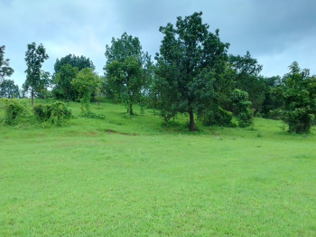 5 Acre Agricultural/Farm Land for Sale in Shahapur, Thane