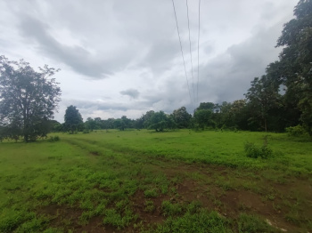 15 Acre Agricultural/Farm Land for Sale in Shahapur, Thane