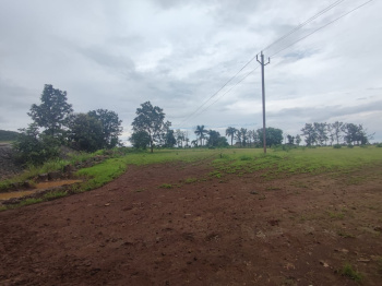 50 Acre Agricultural/Farm Land for Sale in Shahapur, Thane