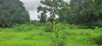 14.20 Acre Agricultural/Farm Land for Sale in Shahapur, Thane