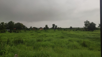 6.10 Acre Agricultural/Farm Land for Sale in Murbad, Thane