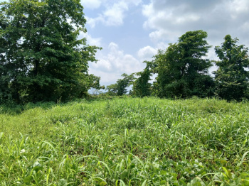 21 Guntha Agricultural/Farm Land for Sale in Murbad, Thane