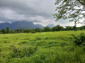 21 Guntha Agricultural/Farm Land for Sale in Murbad, Thane