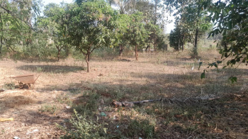 11 Acre Agricultural/Farm Land for Sale in Murbad, Thane