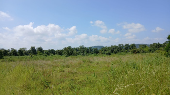 7 Acre Agricultural/Farm Land for Sale in Shahapur, Thane