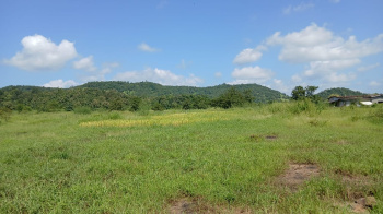 5 Acre Agricultural/Farm Land for Sale in Shahapur, Thane