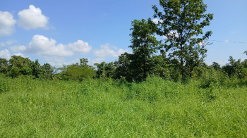 6.25 Acre Agricultural/Farm Land for Sale in Shahapur, Thane