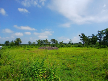 9.20 Acre Agricultural/Farm Land for Sale in Murbad, Thane