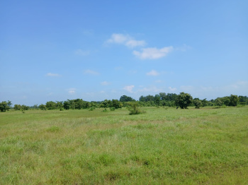 6.20 Acre Agricultural/Farm Land for Sale in Murbad, Thane