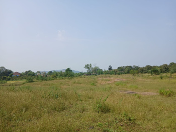 70 Acre Agricultural/Farm Land for Sale in Khardi, Thane