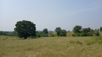 25 Acre Agricultural/Farm Land for Sale in Khardi, Thane