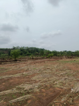 Agricultural/Farm Land for Sale in Murbad, Thane (22 Guntha)