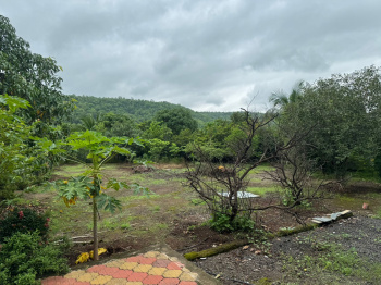 Agricultural/Farm Land for Sale in Mumbai Beyond Thane, Mumbai (1.5 Acre)