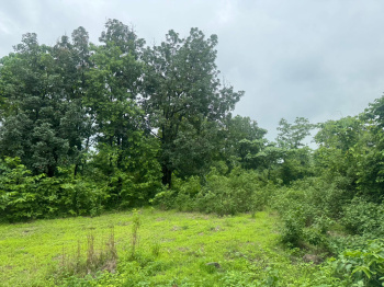 Agricultural/Farm Land for Sale in Mumbai Beyond Thane, Mumbai (10 Acre)