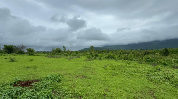 Agricultural/Farm Land for Sale in Mumbai Beyond Thane, Mumbai (1.5 Acre)