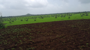 Agricultural/Farm Land for Sale in Shahapur, Thane (51 Acre)