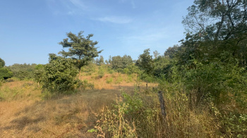 Agricultural/Farm Land for Sale in Murbad, Thane (5 Ares)