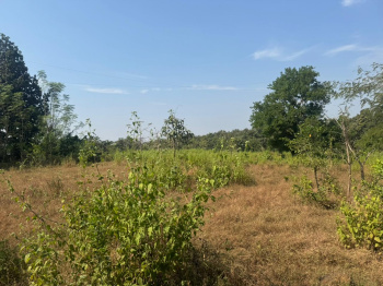Agricultural/Farm Land for Sale in Murbad, Thane (40 Guntha)