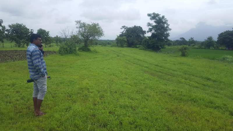 2.5 Acre Agricultural/Farm Land for Sale in Murbad, Mumbai