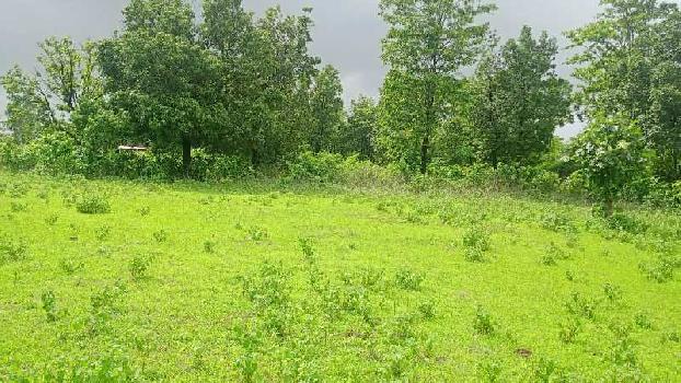 5 Acre Agricultural/Farm Land For Sale In Murbad, Thane