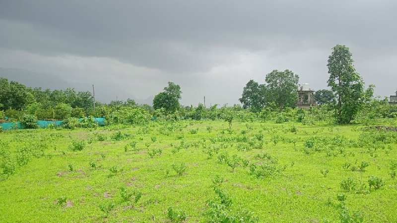 5 Acre Agricultural/Farm Land for Sale in Murbad, Thane