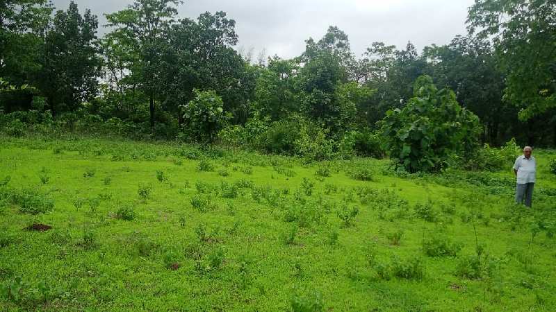 5 Acre Agricultural/Farm Land for Sale in Murbad, Thane