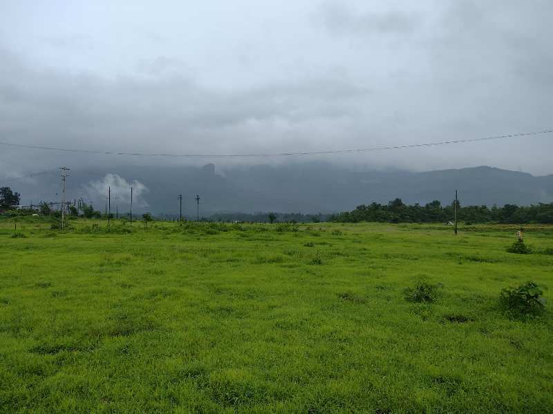 130 Guntha Agricultural/Farm Land for Sale in Murbad, Thane