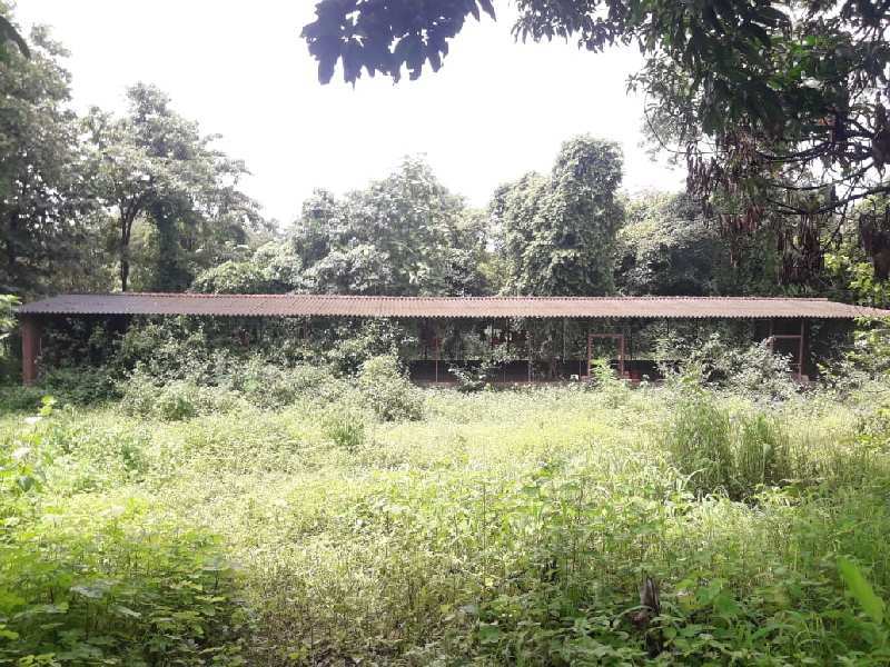 2 Acre Agricultural/Farm Land for Sale in Murbad, Thane