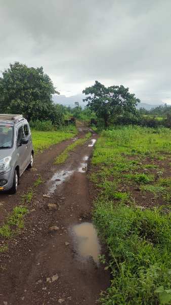 13.30 Acre Agricultural/Farm Land for Sale in Murbad, Thane