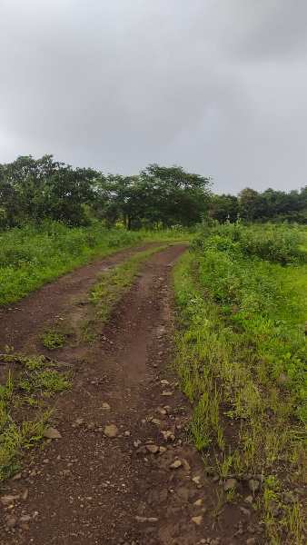 13.30 Acre Agricultural/Farm Land for Sale in Murbad, Thane