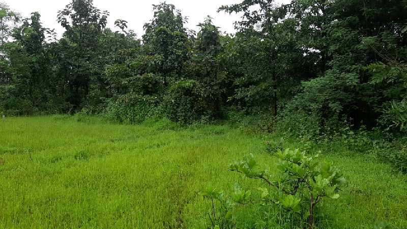 3.5 Acre Agricultural/Farm Land for Sale in Murbad, Mumbai