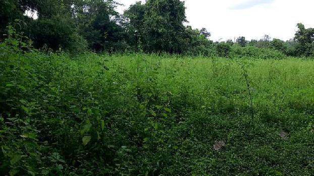 40 Guntha Agricultural/Farm Land for Sale in Murbad, Thane