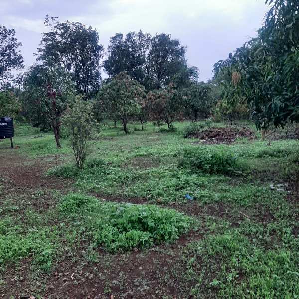 69 Guntha Agricultural/Farm Land for Sale in Murbad, Thane