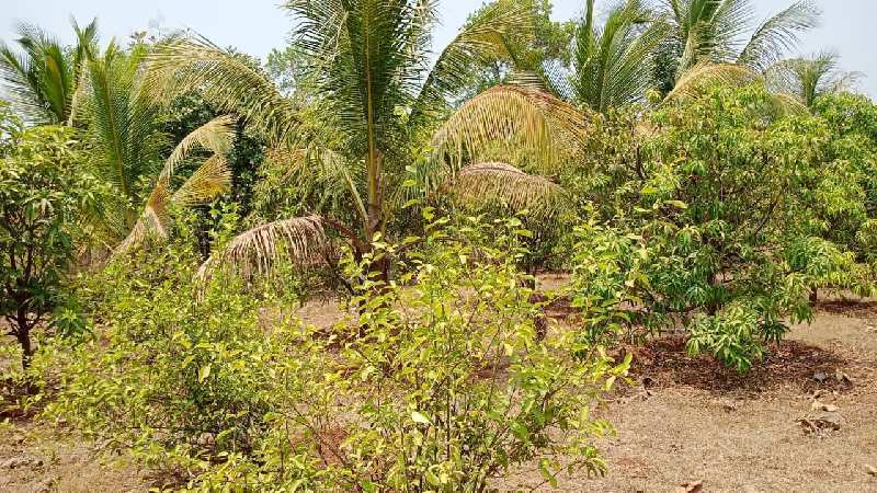 3.4 Acre Agricultural/Farm Land for Sale in Murbad, Thane