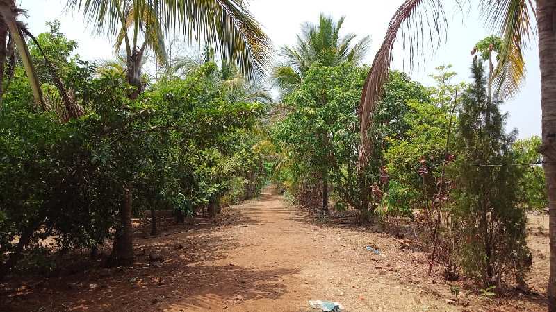3.4 Acre Agricultural/Farm Land for Sale in Murbad, Thane