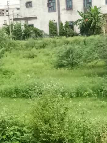 Property for sale in Sector 10, Bahadurgarh