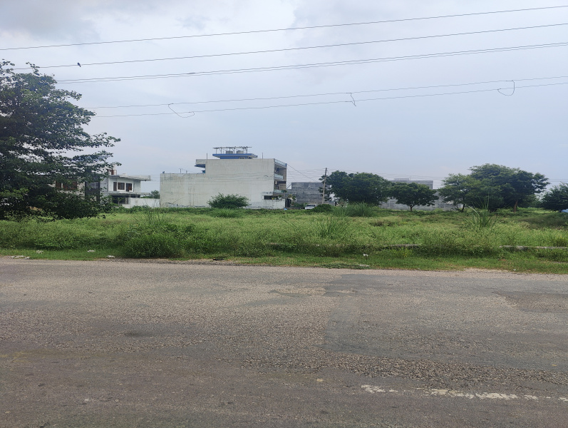 4 Marla Residential Plot for Sale in Sector 10, Bahadurgarh