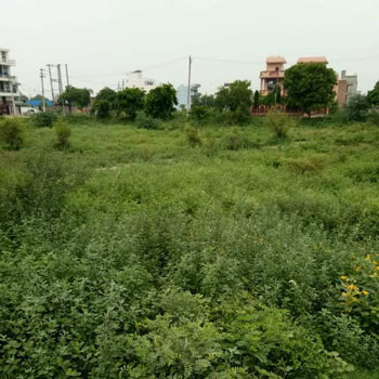 8 Marla Residential Plot for Sale in Sector 10, Bahadurgarh