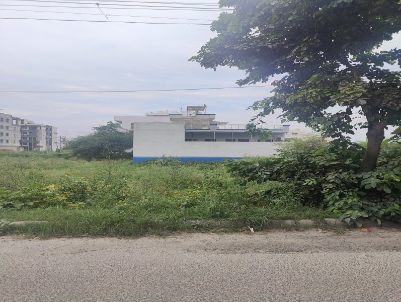 8 Marla Residential Plot for Sale in Sector 10, Bahadurgarh