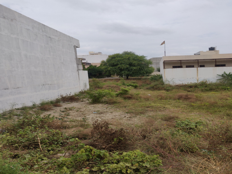 10 Marla Residential Plot for Sale in Sector 10, Bahadurgarh (8 Marla)