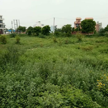 10 Marla Residential Plot for Sale in Sector 10, Bahadurgarh