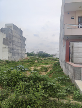 Residential Plot for Sale in Sector 10, Bahadurgarh (14 Marla)