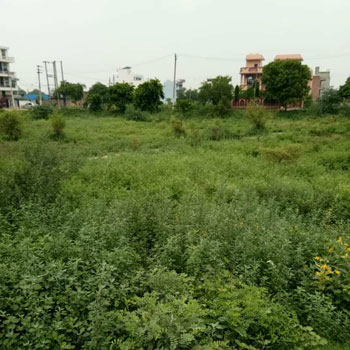 14 Marla Residential Plot for Sale in Sector 10, Bahadurgarh
