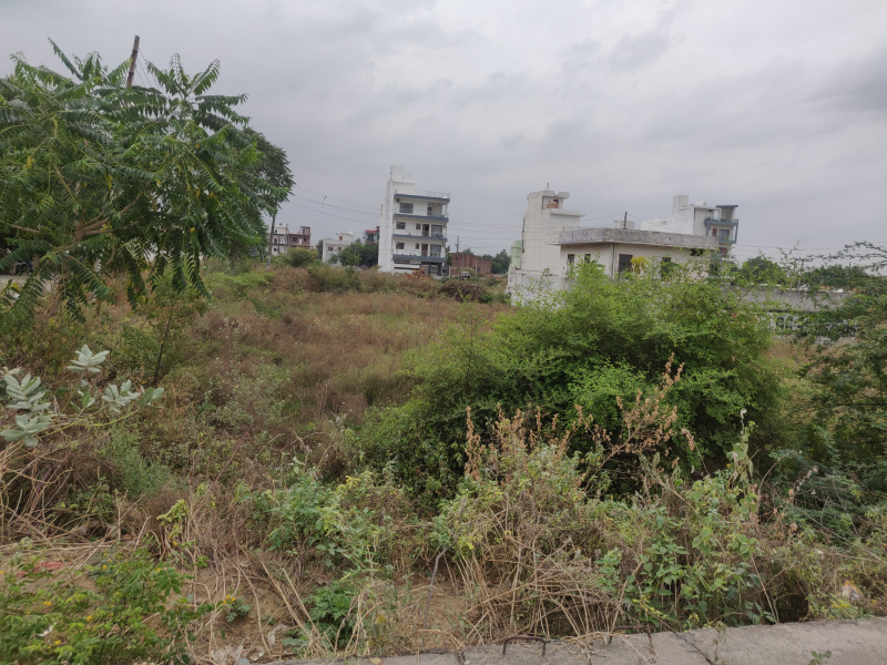 194 Sq. Yards Residential Plot for Sale in Sector 11, Bahadurgarh