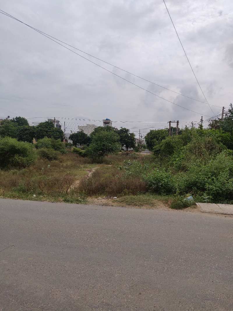 264 Sq. Yards Residential Plot for Sale in Sector 11, Bahadurgarh